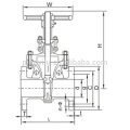 DN15-800MM Api 6A Gate Valve